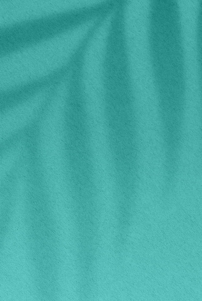 Le restaurant - Restaurant Cap d'Agde bord de mer - Il Paradiso - restaurant AGDE - Restaurant Plage la Roquille - meilleur resto AGDE